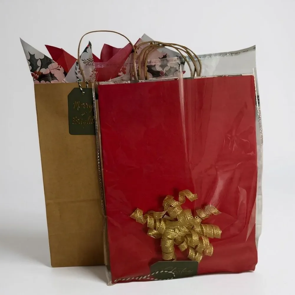 XMS -11  Festive Holiday Gift Bag with Tissue Paper, Tag and Bow